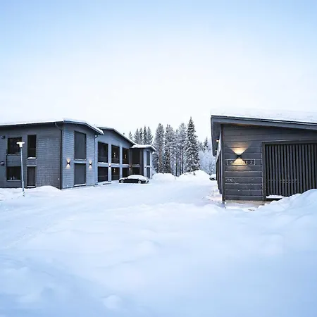 Capercaillie Levi #1 * Kittilä