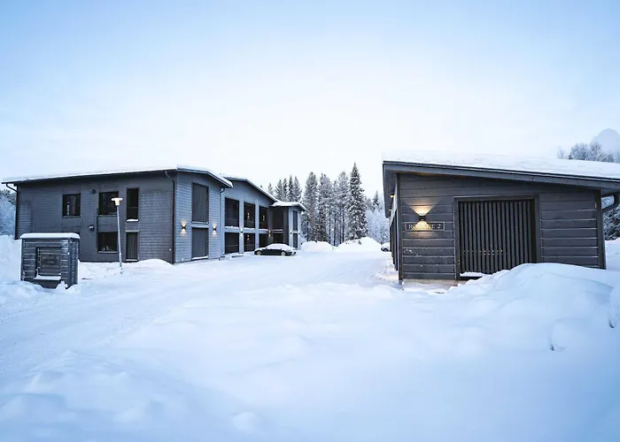 Capercaillie Levi #1 * Kittilä