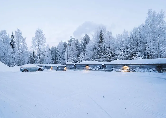 Capercaillie Levi #1 *